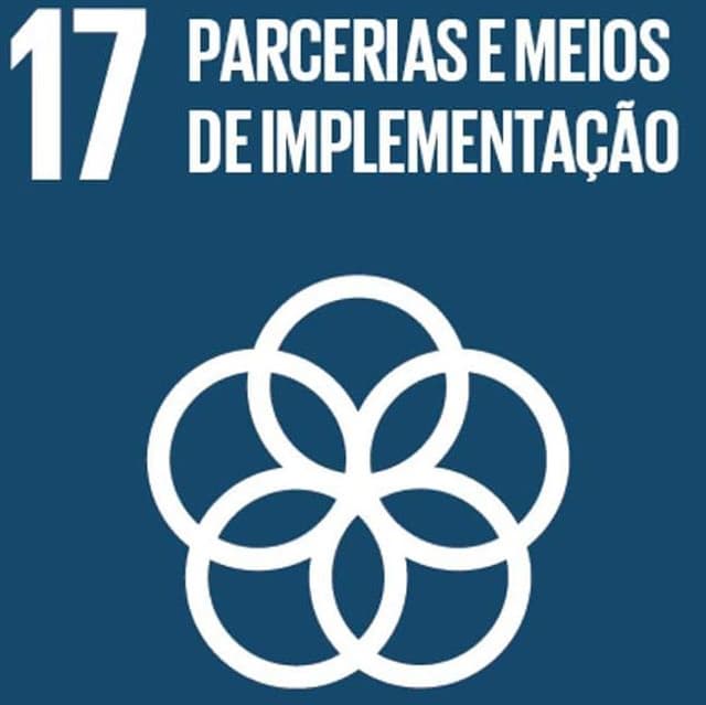 ODS 17